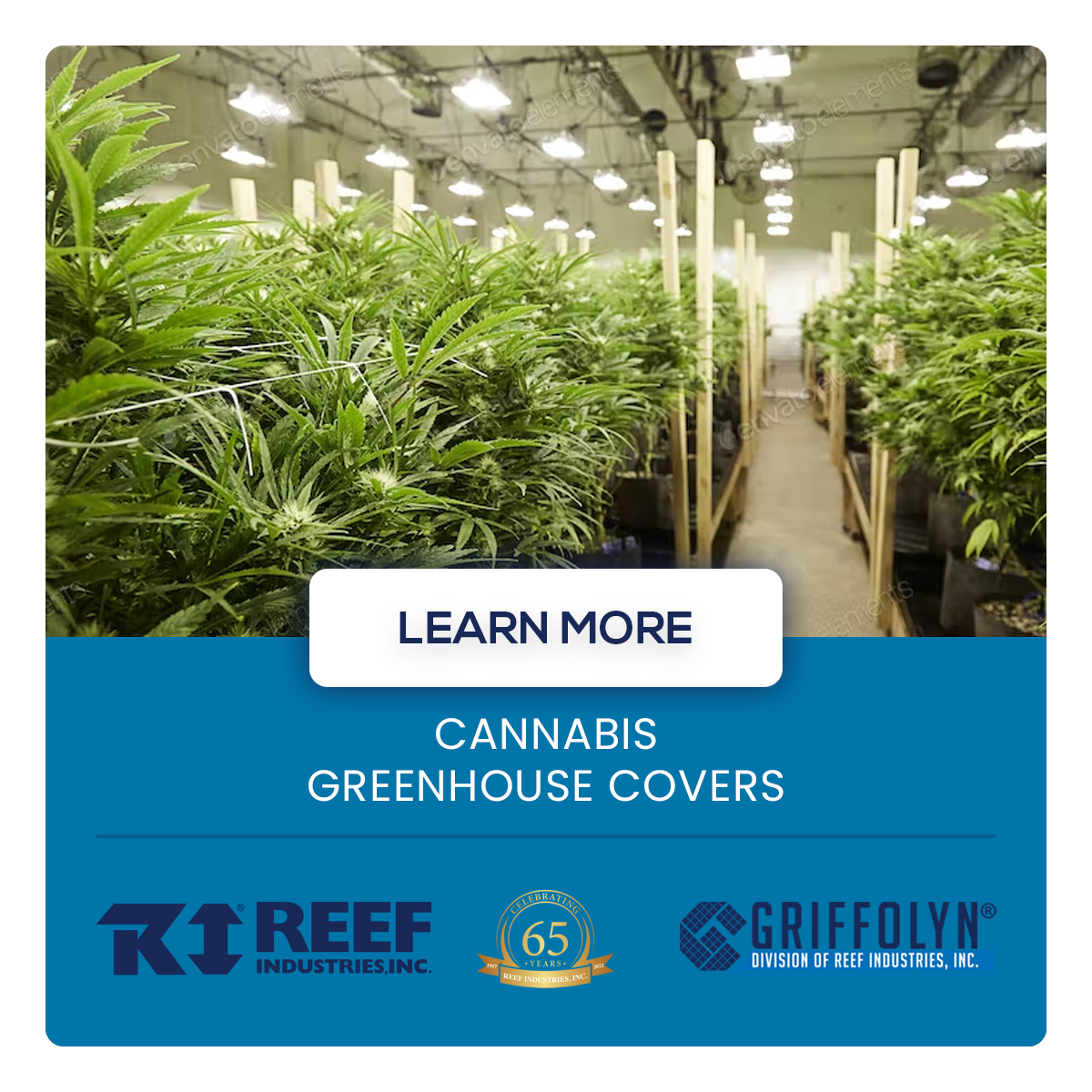 greenhouse social media services agriculture industrial